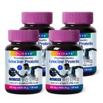 HOLIDAYS Leucine Protein Supplement – 99.5% High-Purity L-Leucine, Animal & Plant Protein Blend, Amino Acids, Vitamins & Minerals, Muscle Support Formula, 4 Bottles _ Made in KOREA